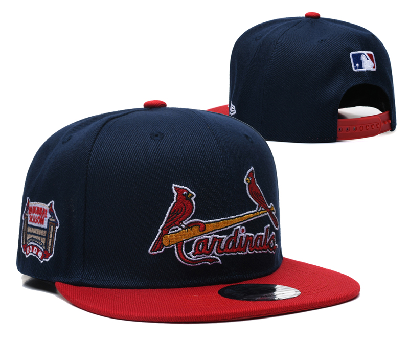 2025 Arizona Cardinals hat 001YS